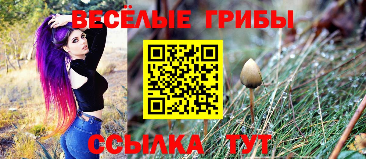 Галлюциногенные грибы прущие грибы Томск