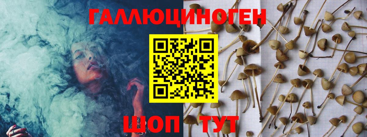 Галлюциногенные грибы мухоморы  Вход с VPN  Томск 
